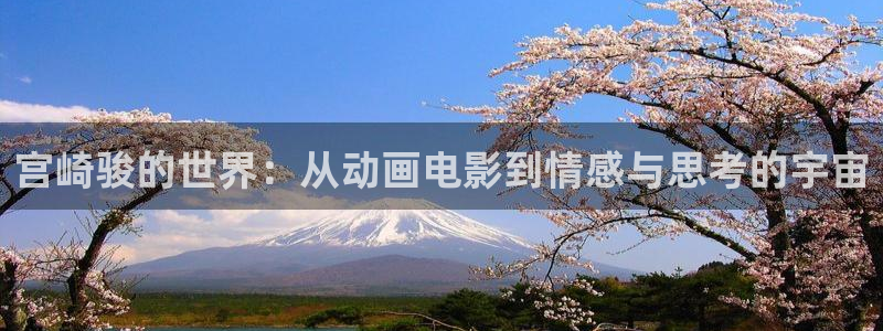 国产91动漫：宫崎骏的世界：从动画电影到情感与思考的宇宙