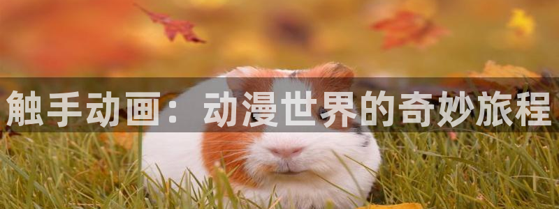 91动漫78：触手动画：动漫世界的奇妙旅程