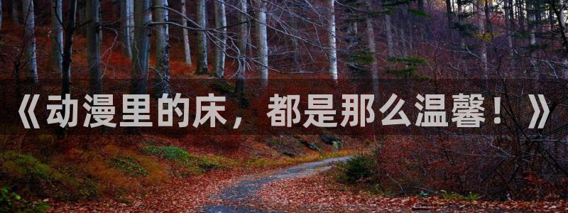 城市猎人91动漫在线看：《动漫里的床，都是那么温馨！》