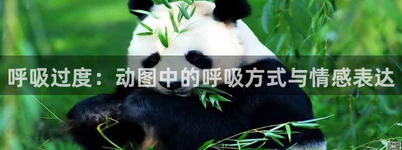 91动漫在线下载：呼吸过度：动图中的呼吸方式与情感表达