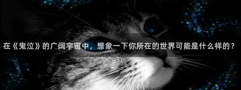 城市猎人91动漫