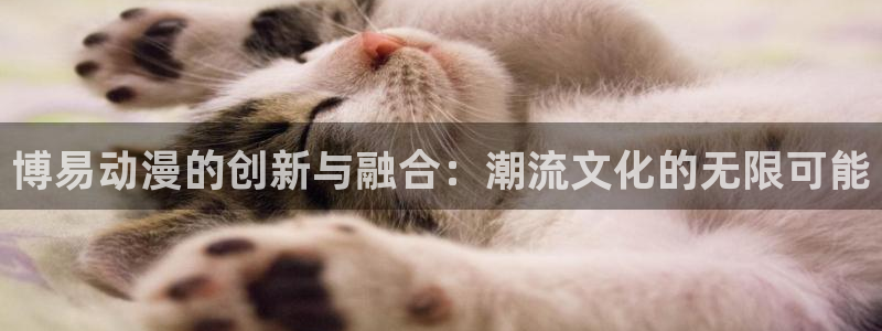 91动漫下载网站