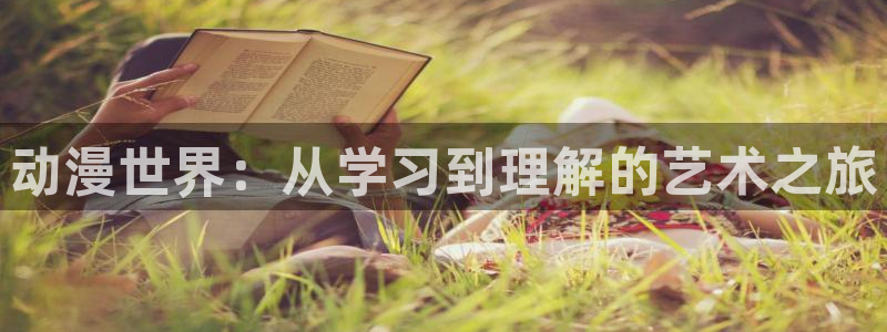 91动漫色：动漫世界：从学习到理解的艺术之旅